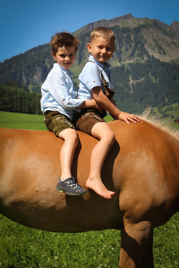 Haus Bergquell Apartman Au (Vorarlberg) Kültér fotó