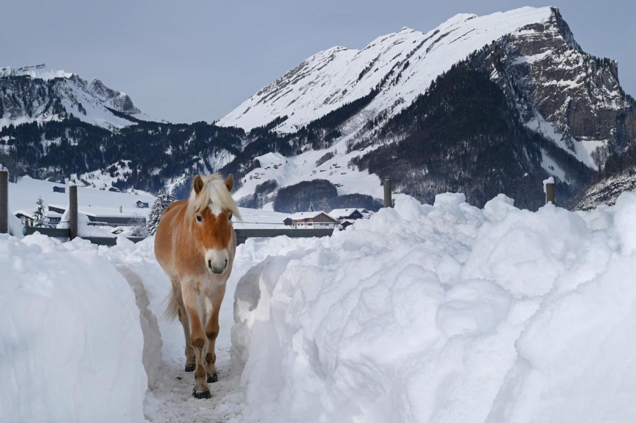 Haus Bergquell Apartman Au (Vorarlberg) Kültér fotó