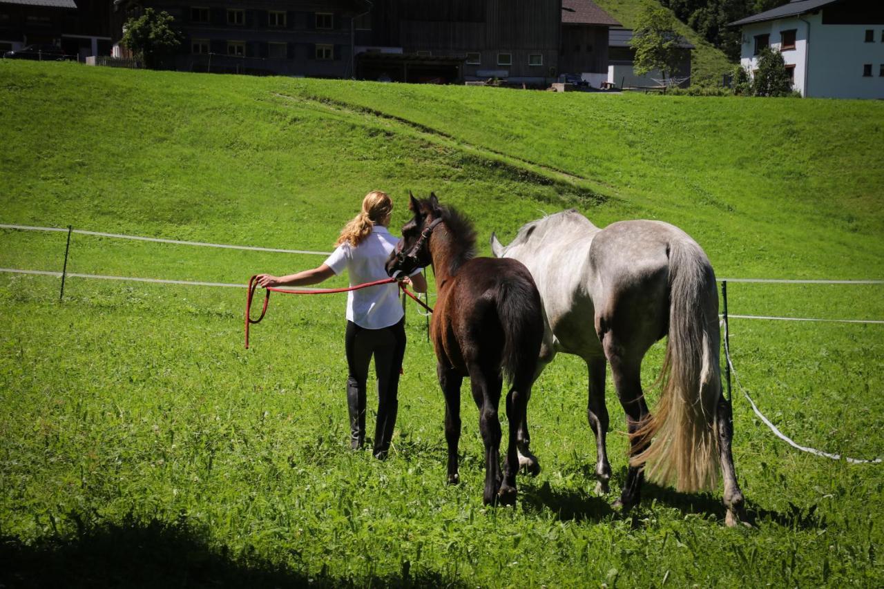 Haus Bergquell Apartman Au (Vorarlberg) Kültér fotó